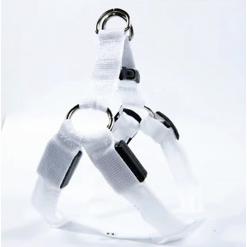 Arnés Led Recargable