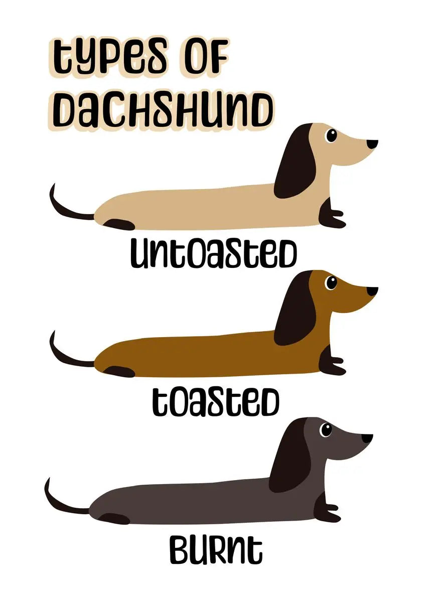Funny Cartoon Dachshund Poster
