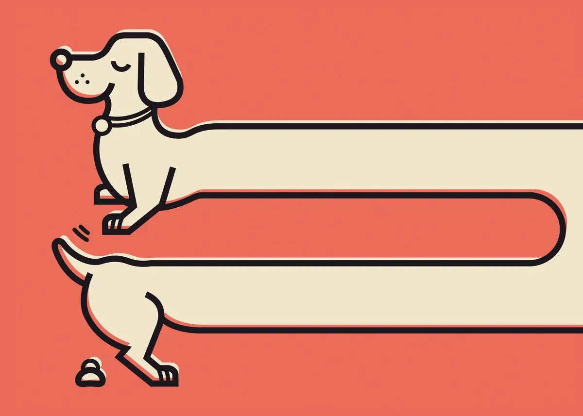 Funny Cartoon Dachshund Poster
