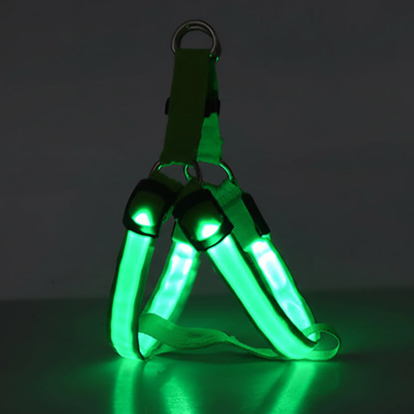 Arnés Led Recargable