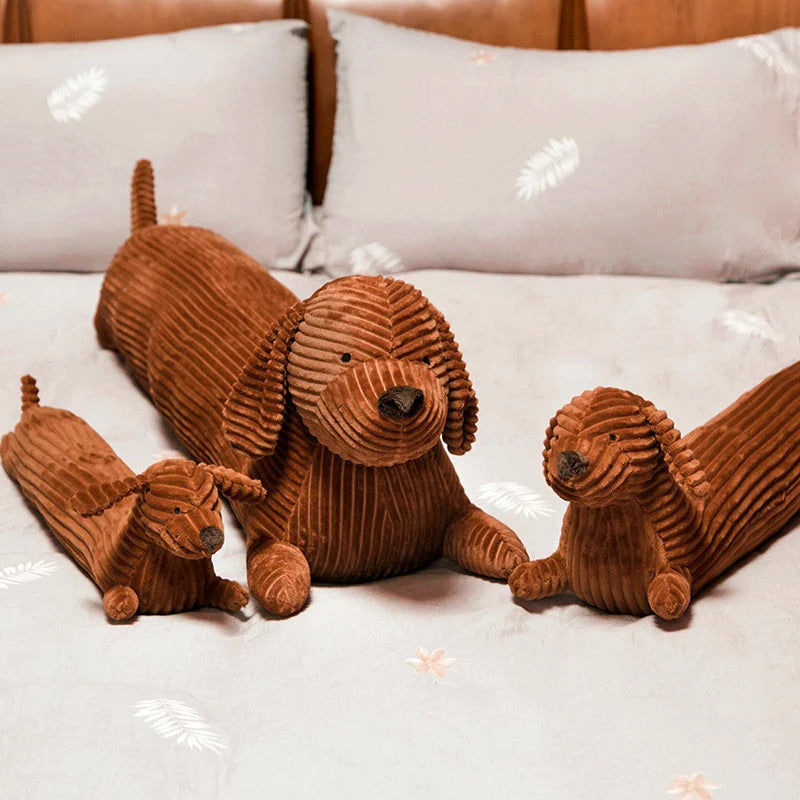 Teddy Dachshund Dog