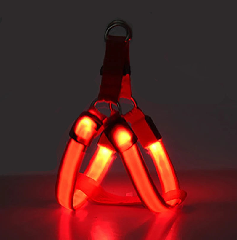 Arnés Led Recargable
